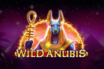 Divlji Anubis
