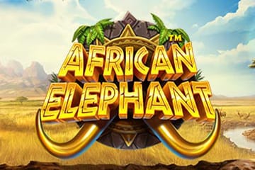 Afrikanski Slon